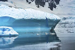 Images Dated 10th November 2020: Glacier, Paradise Bay, Skontorp Cove, Antarctica. Glacier is blue because air is squeezed