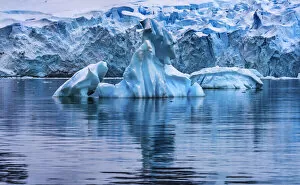 Antarctica Gallery: Glacier, Paradise Bay, Skontorp Cove, Antarctica. Glacier is blue because air is squeezed