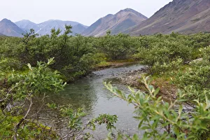 Russia Prints: Glacier river, Yttygran Island, Bering Sea, Russia Far East