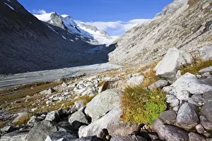 Rising Prints: The glacier Viltragenkees in the National Park Hohen Tauern is showing signs of rapid retreat
