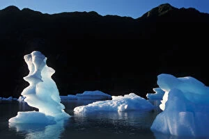 Images Dated 10th November 2005: glaciers in Bear Glacier Lake, Kenai Fjords National Park, Alaska