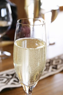 Images Dated 26th August 2005: Glass flute of sparkling Cruzdiabolo semi-sweet wine Bodega Del Anelo Winery, also