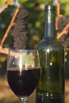 Enology Prints: Glass of Pinot Noir wine with bottle in front of Pinot Noir grape cluster on