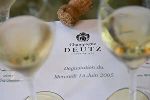 Images Dated 15th June 2005: Glasses of champagne set on a white background for a tasting of the range of wines