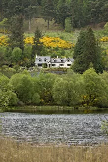 Images Dated 16th May 2006: Glendalough, County Wicklow, Ireland