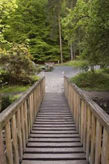 Images Dated 16th May 2006: Glendalough, County Wicklow, Ireland