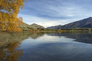 Central Otago Prints: Glendhu Bay, Lake Wanaka, Otago, South Island, New Zealand