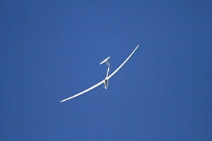 Wanaka Prints: Glider doing a loop, Warbirds over Wanaka, Wanaka, Otago, South Island, New Zealand