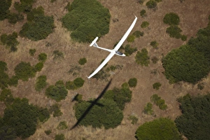 Aviation Prints: Glider Pilot Tilo Holighaus (Germany) and Shadow, Racing in FAI World Sailplane Grand Prix