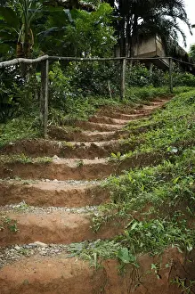 Pathway Prints: Goa, Panama. A pathway through the Embra Village in the rain forest of Panama