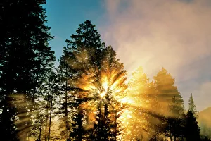 Spiritual Prints: God Rays from morning