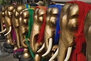 Images Dated 17th February 2006: Golden elephants decorated with colorful scarves, Erawan Shrine, Bangkok, Thailand
