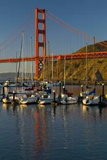 Images Dated 12th November 2005: Golden Gate Bridge and San Francisco California from Horseshoe Cove and Presidio