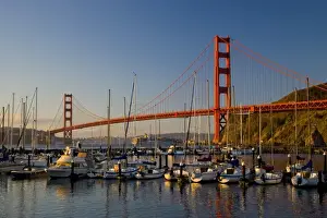 Images Dated 12th November 2005: Golden Gate Bridge and San Francisco California from Horseshoe Cove and Presidio