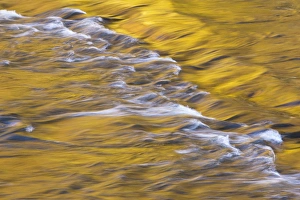 Golden light reflects off the Presque Isle River, Wisconsin
