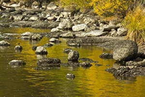 Oregon Prints: golden reflections, Dillon Falls area, Deschutes River, Descutes National Forest