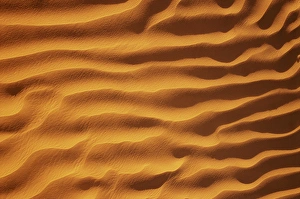Images Dated 12th June 2015: Golden, Rippled Sand