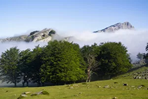 Gorbea Natural Park. Lekanda mount between the fog. Biscay province. Basque Country