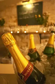 Images Dated 14th December 2007: The gourmet Restaurant Le Jardin d Ausone in the old town in Bordeaux: the bar