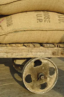 Cart Prints: Grains in burlap sacks on primitive cart, train station, Udaipur, India
