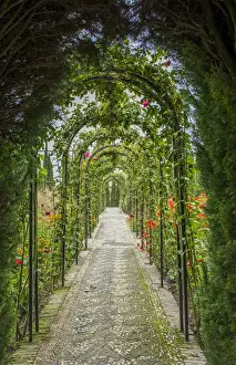 Granada Prints: Granada Spain Alhambra famous hedges of Gardens of the Generalife and wonderful green arches