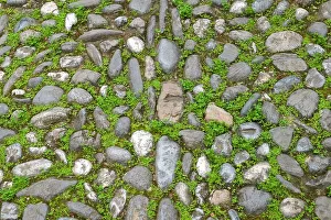Granada Prints: Granada, Spain. Ancient stone walkway with moss