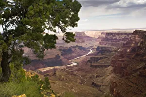 Grand Canyon Prints: Grand Canyon, Arizona