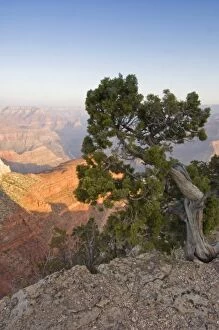 Images Dated 21st April 2008: Grand Canyon at Dawn from Hopi Point, Grand Canyon NP, AZ, USA