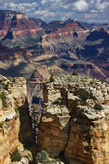 Timeless Prints: Grand Canyon National Park, Arizona