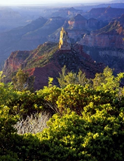 Images Dated 4th August 2010: Grand Canyon National Park, Arizona