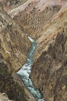 Torrential Prints: Grand Canyon of Yellowstone River, Yellowstone National Park, Wyoming
