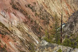 Grand Canyon of Yellowstone, Yellowstone National Park, Wyoming