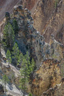 Roddy Scheer Prints: Grand Canyon of the Yellowstone, Yellowstone National Park, Wyoming, USA