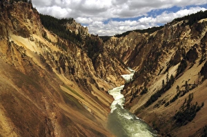 Images Dated 22nd May 2009: Grand Canyon of the Yellowstone, Yellowstone River, Yellostone National Park, Wyoming