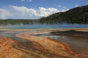 Natural Beauty Prints: Grand Prismatic Spring (3), Middle Geyser Basin, Yellowstone National Park, Wyoming, USA