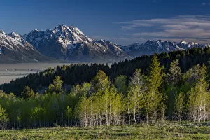 Grand Teton National Park, Mount Moran and Aspen trees, Wyoming
