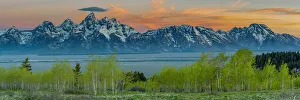 Grand Teton National Park, panoramic of Grand Teton, Moran, and Aspen trees at Sunrise