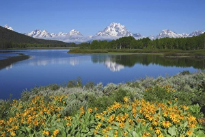 Grand Tetons from the Oxbow; Grand Teton National Park; Wyoming; USA