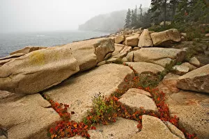 Granite bouders and distant Otter Cliff, among fog along coastline of Acadia National Park
