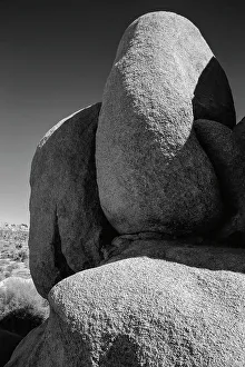 Mojave And Colorado Desert Bios Prints: Granite Tree National Park, California