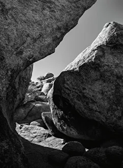 Images Dated 21st December 2022: Granite Tree National Park, California