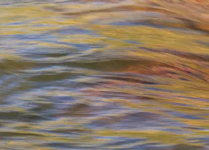 Images Dated 7th June 2013: Graphic reflections on river surface, Lower Deschutes River, Central Oregon, USA