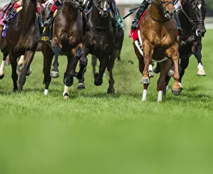 Power Prints: Grass turf horse racing