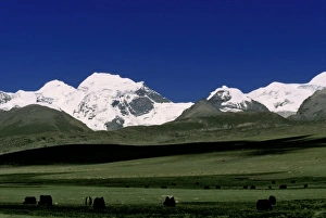 Tibet Prints: Grassland with Mt. Nian Qing, Tibet, China