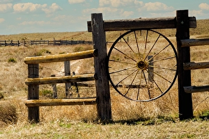 Grassland Prints: Grasslands landscape
