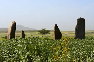 Ethiopia Prints: Grave marks at Dungur (Dungur Addi Kite) palace ruins, Aksum, Ethiopia