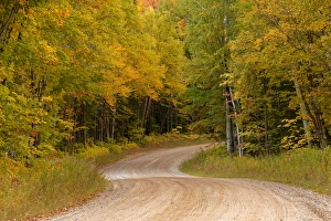 Roadway Prints: Gravel road through Hiawatha National Forest, Upper Peninsula of Michigan