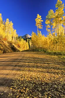Gravel road lined with autumn color in the San Juan National Forest of Colorado