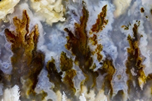 Natural Pattern Prints: Graveyard Point Plume Agate Oregon