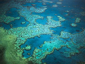 Australia Prints: Great Barrier Reef, Queensland, Australia